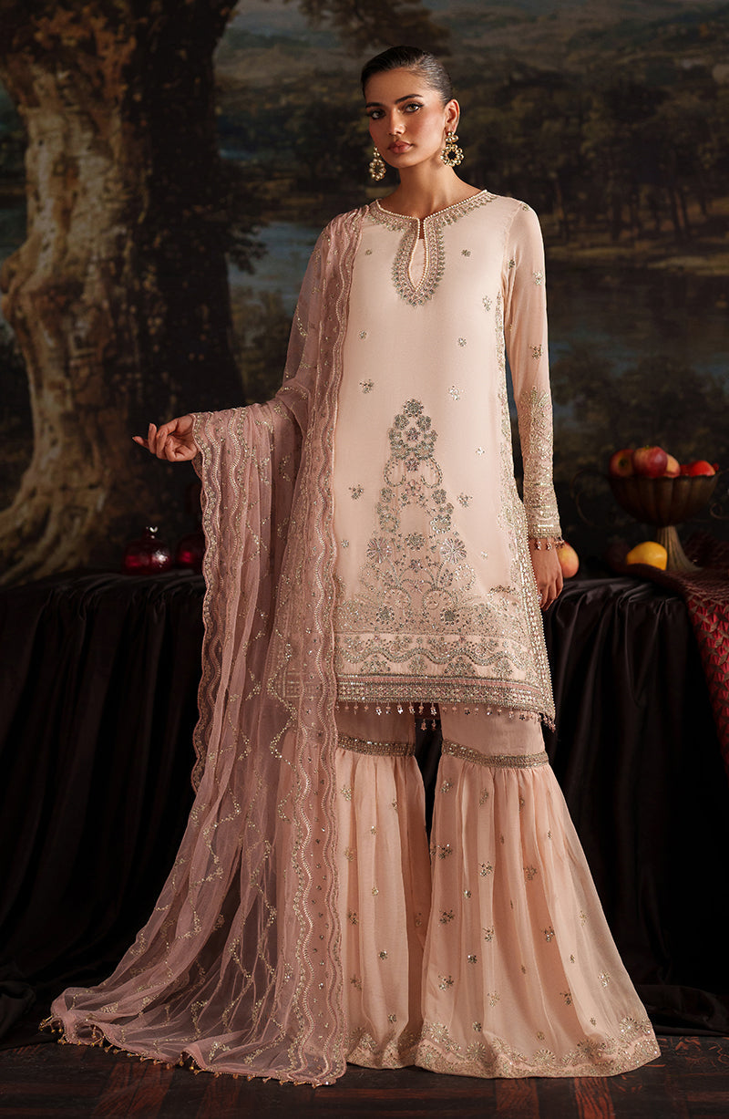 Zarif Chiffon