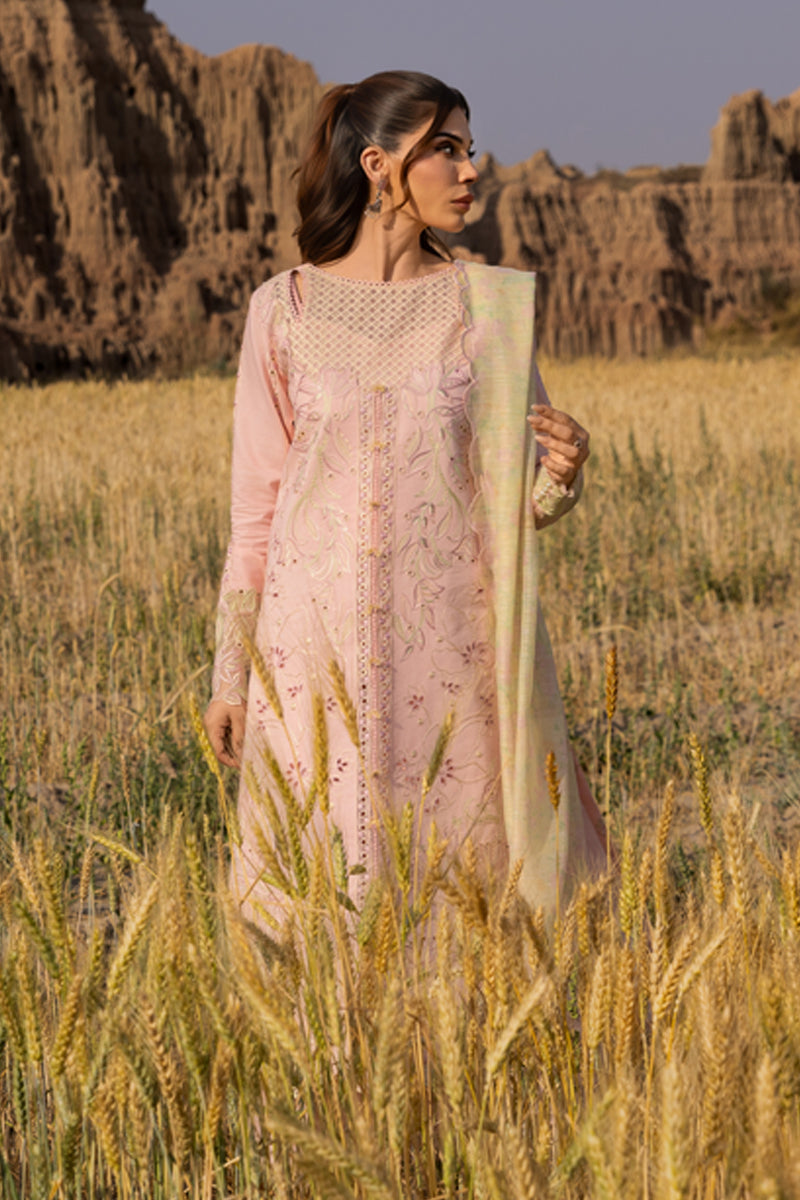 Rangrasiya