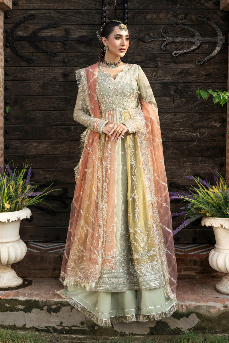 Rangrasiya formal