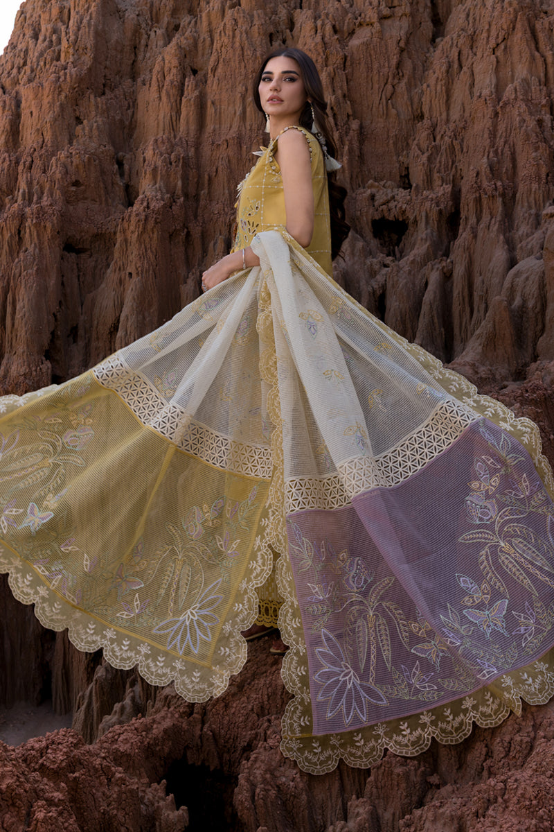 Rangrasiya