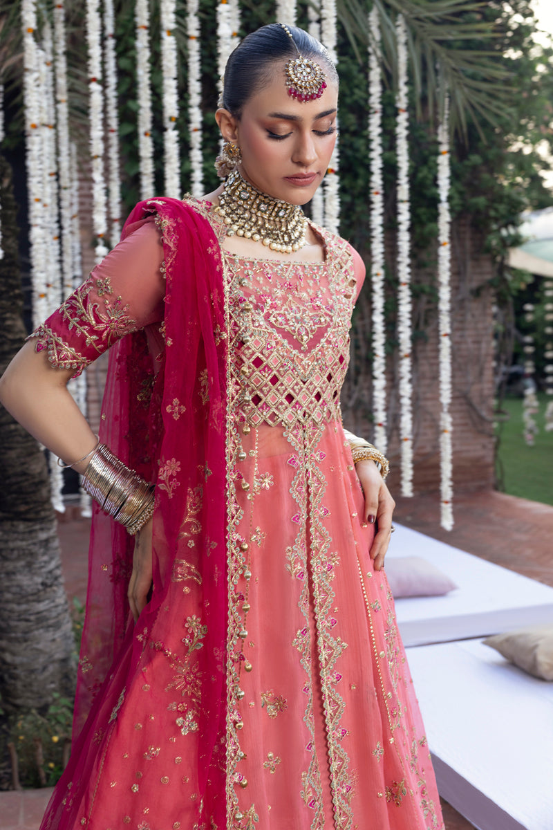 Rangrasiya formal