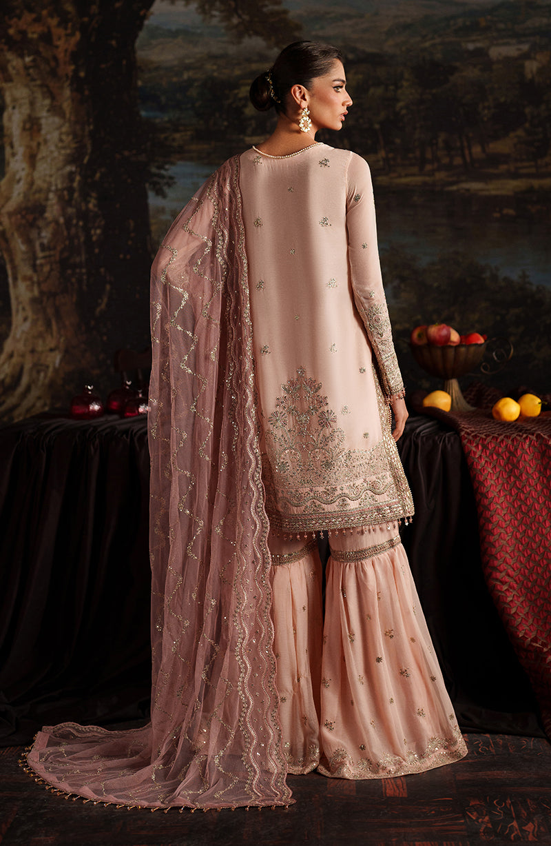 Zarif Chiffon