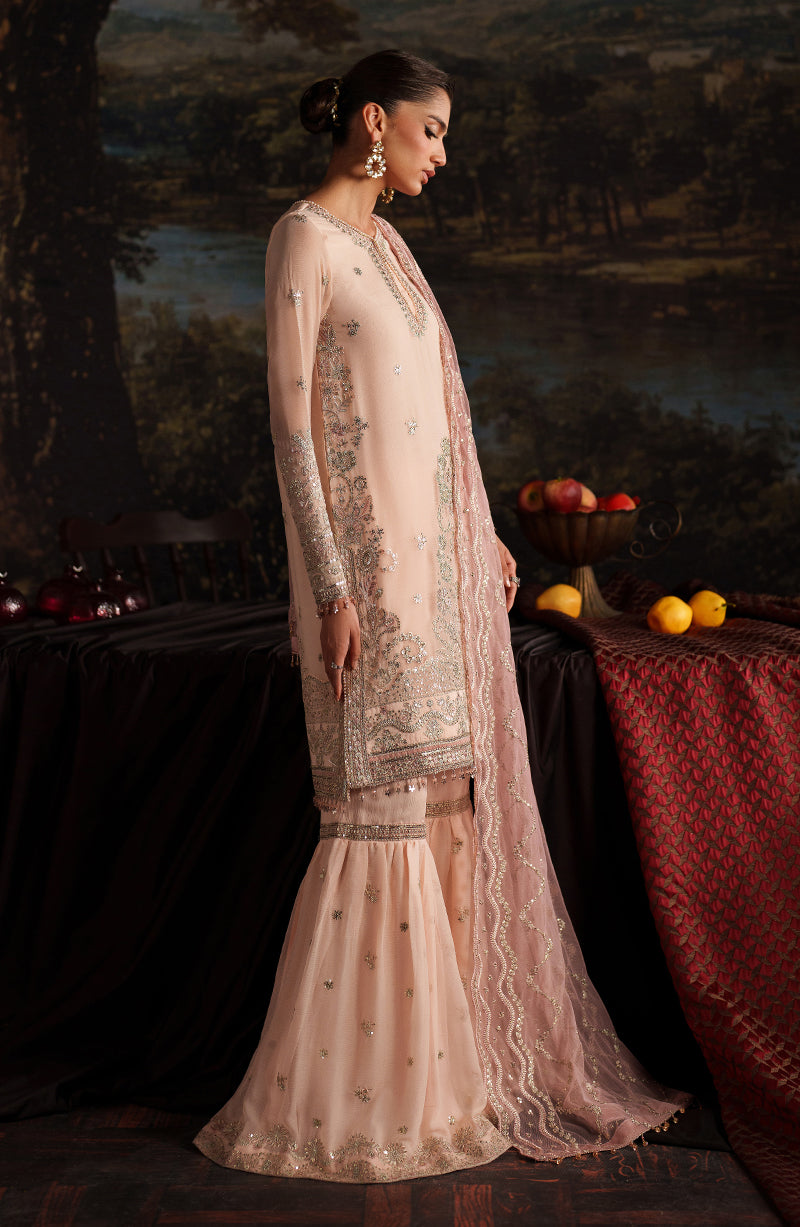 Zarif Chiffon