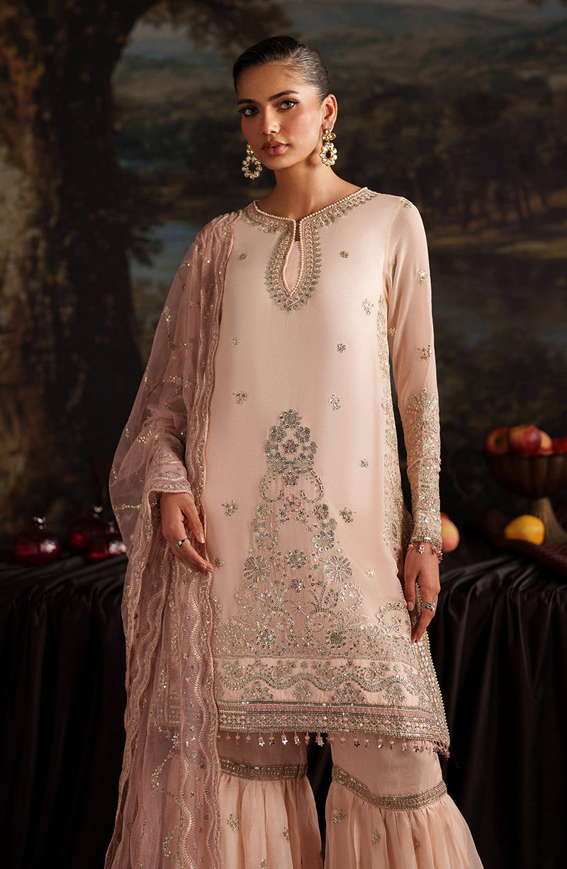 Zarif Chiffon