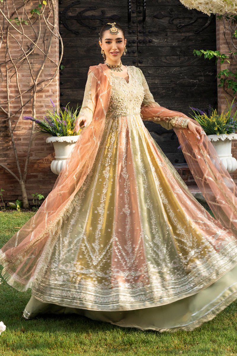 Rangrasiya formal