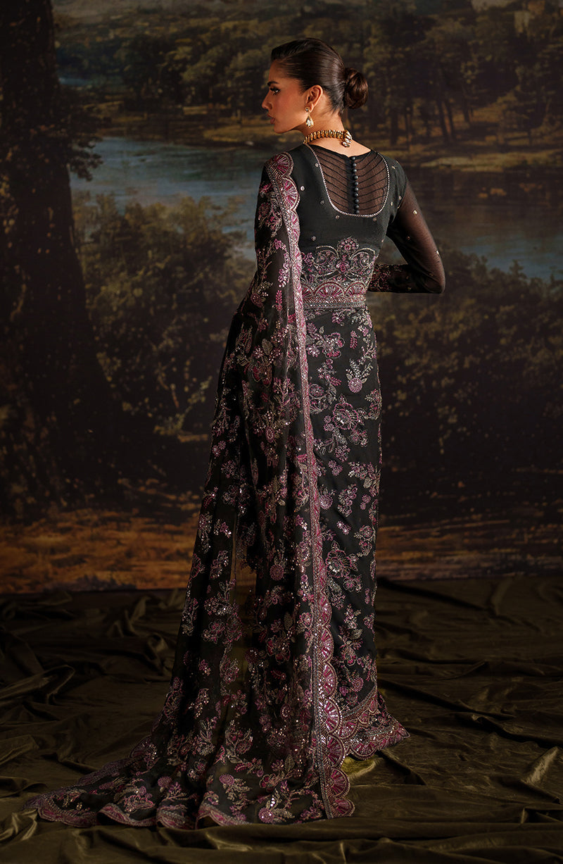 Zarif Chiffon