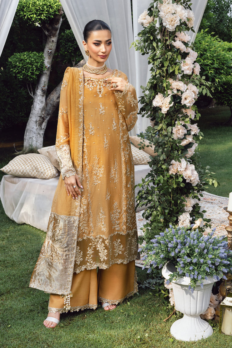 Rangrasiya formal