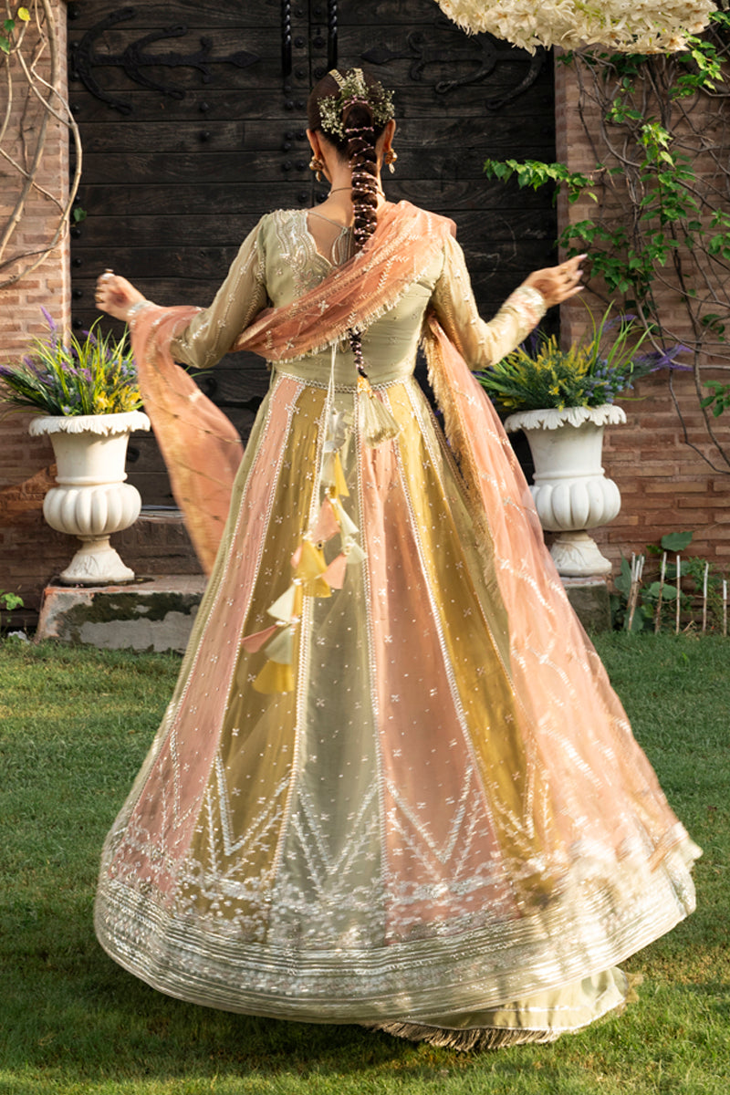 Rangrasiya formal